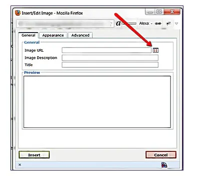 WordPress Editor