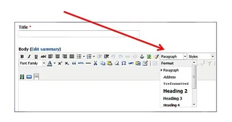 WordPress editor