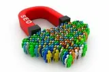 Traffic Magnet