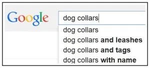 Google Suggestion Box