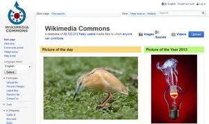 Wikimdeia Commons