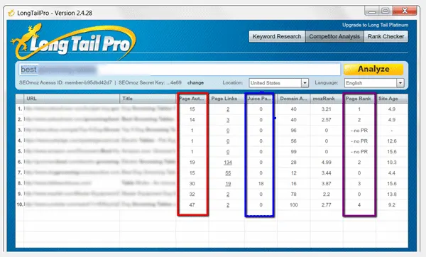 Long Tail Pro Analysis